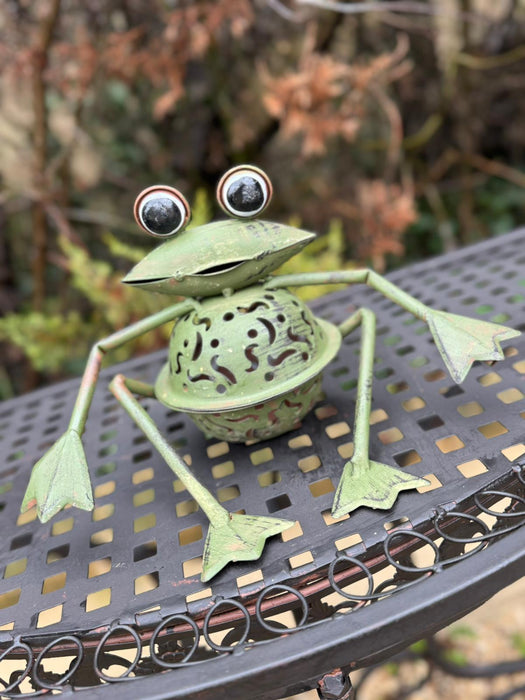 Lanterne 25cm jardin photophore grenouille