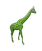 Statue Girafe Animaux Resine - 320cm - Ecaille Vert - ANIMAUX-RESINE.FR