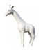 Statue Girafe Animaux Resine - 50cm - Blanc - ANIMAUX-RESINE.FR